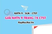 Giải KHTN 9 trang 78 Chân trời sáng tạo SGK